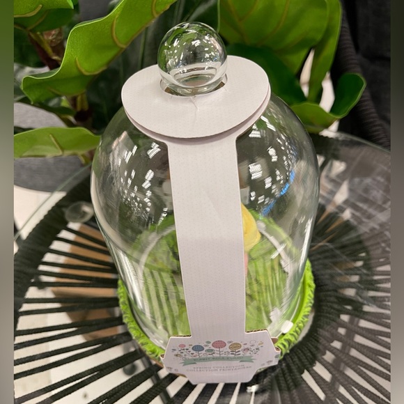 Easter Spring Chick Bunny with Egg in Removable Glass Dome Cloche NWT - Picture 4 of 4